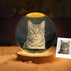 3D Customized Crystal Sphere | Premium LED Night Light